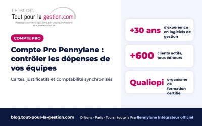 Compte Pro Pennylane : contrôler les dépenses de vos équipes