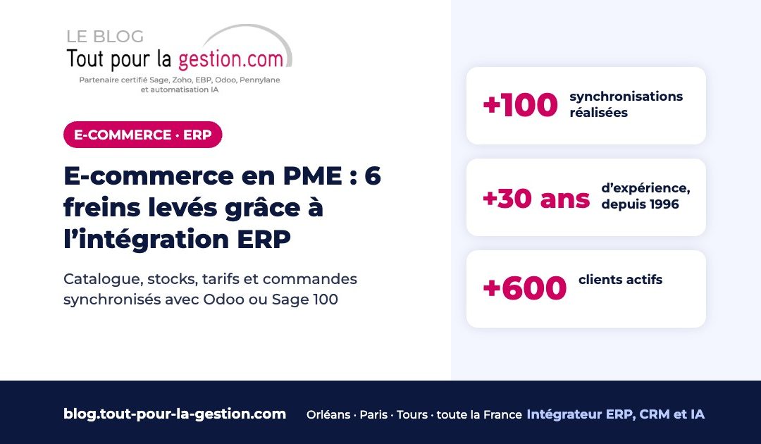 E-commerce en PME : 6 freins levés grâce à l’intégration ERP