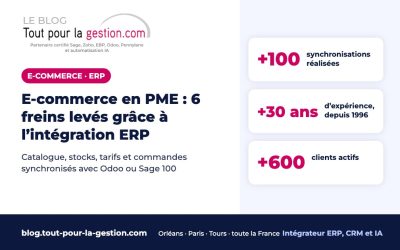 E-commerce en PME : 6 freins levés grâce à l’intégration ERP